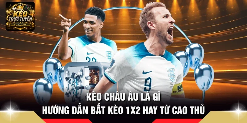 Kèo Châu Âu Là Gì - Hướng Dẫn Bắt Kèo 1x2 Hay Từ Cao Thủ 6 Kèo châu Âu là gì