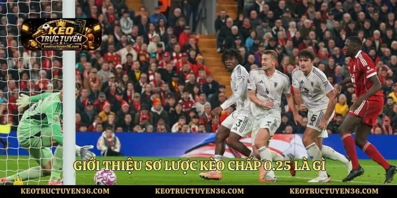 Giới thiệu sơ lược kèo chấp 0.25 là gì