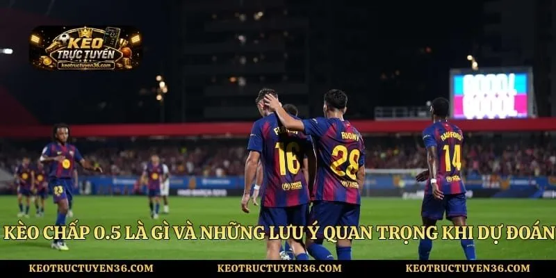 Kèo Chấp 0.5 Là Gì Và Những Lưu Ý Quan Trọng Khi Dự Đoán 7 Kèo Chấp 0.5 Là Gì Và Những Lưu Ý Quan Trọng Khi Dự Đoán