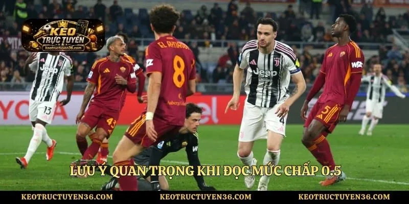 Kèo Chấp 0.5 Là Gì Và Những Lưu Ý Quan Trọng Khi Dự Đoán 4 Lưu ý quan trọng khi đọc mức chấp 0.5